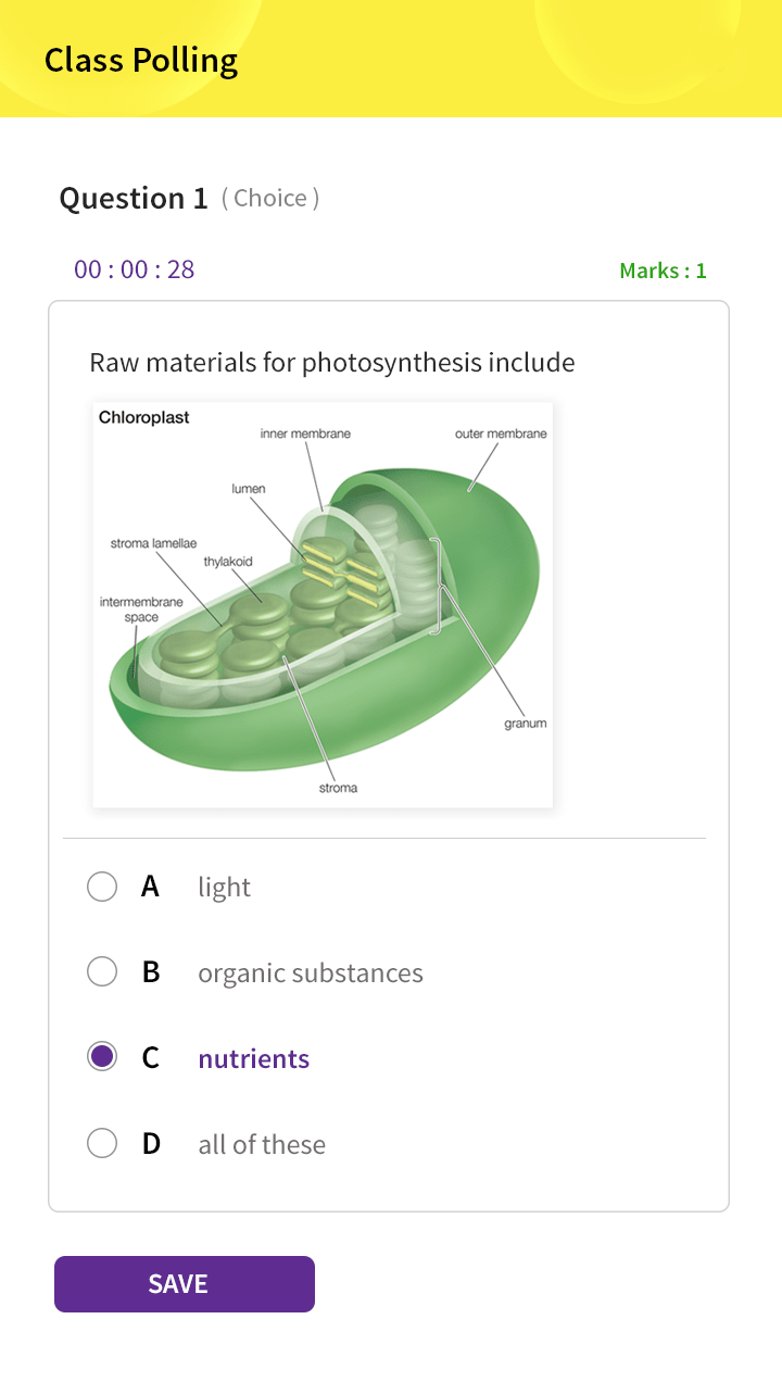 10.1.1 In class activity polling test questions image-min